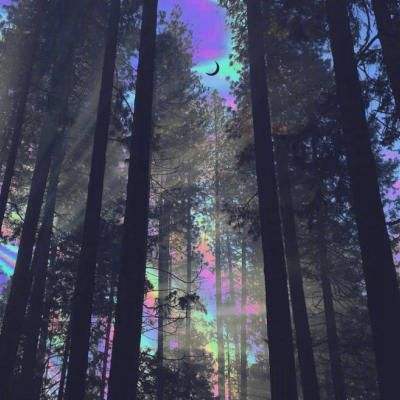 ManBetx万博全站APP最新版